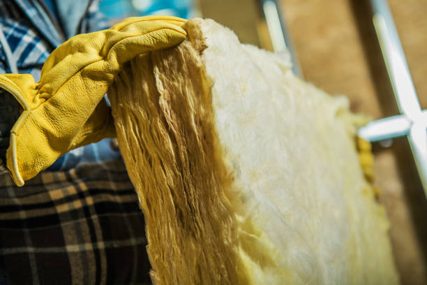 Best Commercial Insulation in Tiptonville, TN