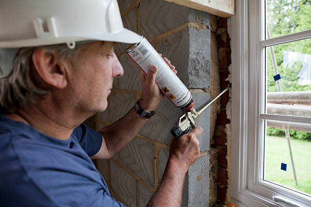 Best Insulation Maintenance and Repair in Tiptonville, TN
